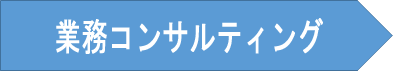 業務コンサルティング